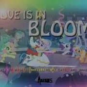 Aviators Love Is In Bloom Remix Feat Yelling At Cats And Hmage