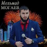 Иман Шепиева Дуьненчу Дашо Малх Кхити 2018