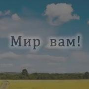 Мир Вам Братья Сестры Минус