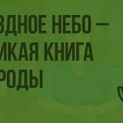 Звездное Небо Великая Книга Природы Видеоурок По Окружающему Миру 4 Класс