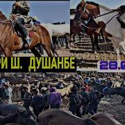 Бехтарин Аспхои Бозори Ленски