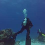 Diving In Cozumel October 2018 Part 4