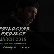 Psilocybe Project 2019