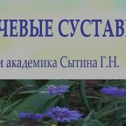 Плечевые Суставы Настрой Сытина