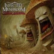 Infected Mushroom Full Album