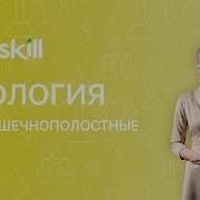 Биология 7 Класс Тип Кишечнополостные