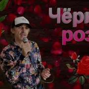 Скачать Песню Черная Роза Сергей Орлов