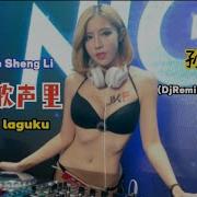 Chinese Electro Rmx 我的歌声里