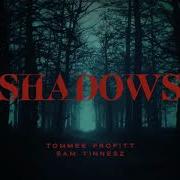 Shadows Tommee Profitt X Sam Tinnesz