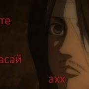 Райнер Сядь Райнер Встань