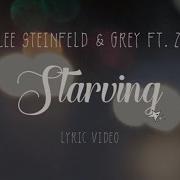 Starving Hailee Steinfeld Grey Ft Zedd Lyrics Cover