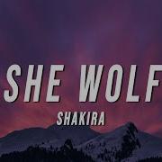 She Wolf Shakira Remix Tik Tok