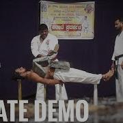 Karate Demonstration Intranational Karate Team Martial Arts Stunt