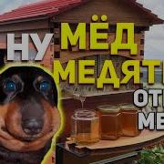 Ну Медятина Ну Мед