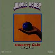 Blueberry Stain Feat Trippythakid Lentra