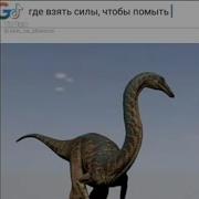 Как Найти Силы Помыть Окно