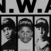 Nwa Nigga W An Attitude