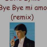 David Lyme Bye Bye Mi Amor Remix