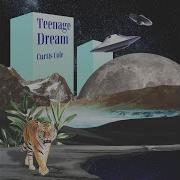 Teenage Dream By Curtis Cole