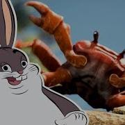 Big Chungus Rave