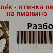 Королек Птичка Певчая На Пианино