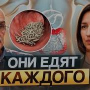 Выводим Паразитов Правильно