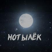 Группа Птица Мотылек