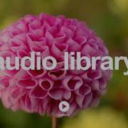 Kamogawa Dreaming South London Hifi No Copyright Music Youtube Free Audio Library