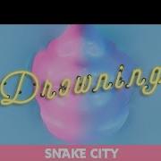 Snake City Drowning