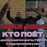 Dj Crocodildo Пусть Распускаются Цветы
