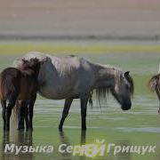 Без Границ Сергей Грищук Скачать