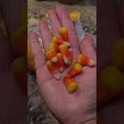 Corn Candy