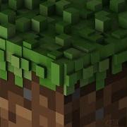 Wet Hands C418