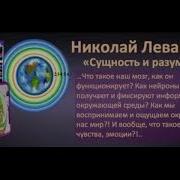 Н Левашов Сущность И Разум