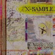 X Sample Feat Jennifer Goin On Extended Mix