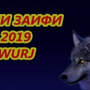 Саши Заифи Тиямта 2019 Sashi Zaifi