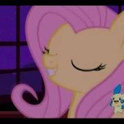 Mlp Sparta Remix Fluttershy