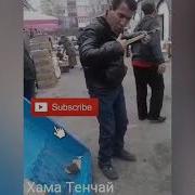 Бародар Хамаро Гирён Кард Бо Ин Сурудаш