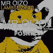 Mr Oizo Positive