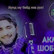 Мунд Му Баёд Ика Бахор Акмал Шобеков Akmal Shobekov
