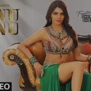 Lyrical Tunu Tunu Video Sherlyn Chopra Feat Vicky Hardik Sukriti Kakar