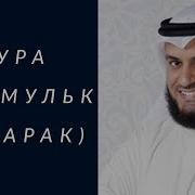 Купон Таборак