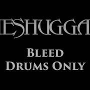 Meshuggah Drums Only