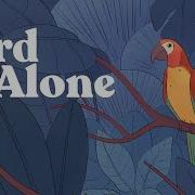 Bird Alone