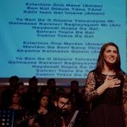 Gülcan Ertan