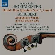 Norbert Duka Double Bass Quartet No 4 In D Major I Allegro Moderato