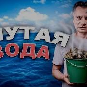 Горбатая Вода Вопрос К Тм Студио