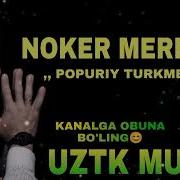 Noker Meretov Popuri 2019