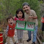 Yes No Tiktok