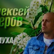 Черемуха Алексей Вечеров